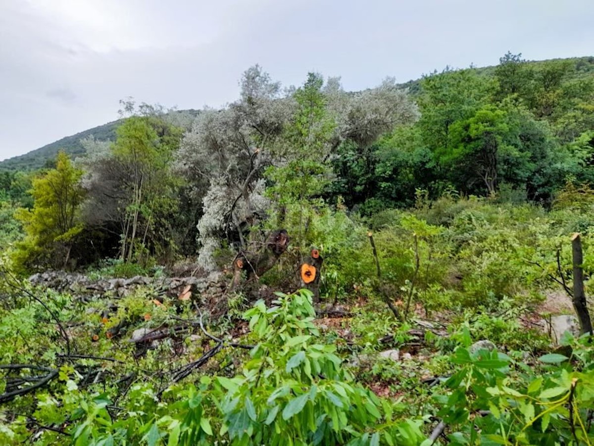 ISTRA, RABAC - Gradbeno zemljišče s pogledom na morje za več vil