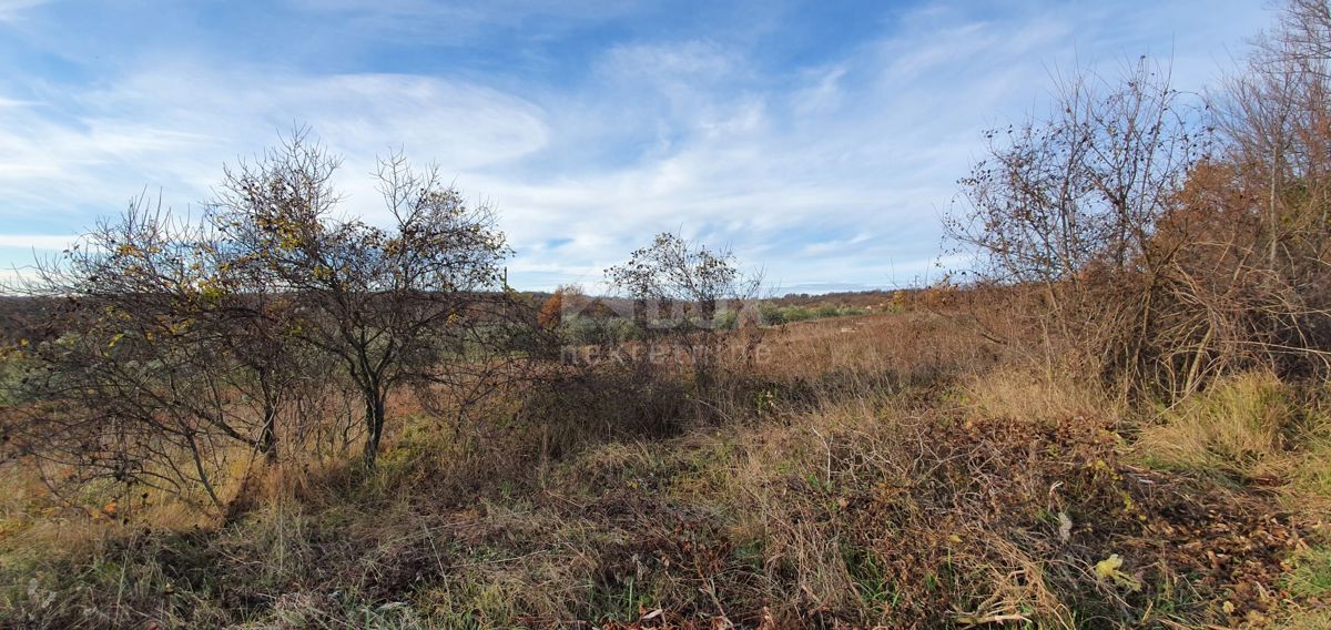 ISTRA, BARBAN - Zemljišče z pravnomočnim gradbenim dovoljenjem in plačano komunalo, lep razgled