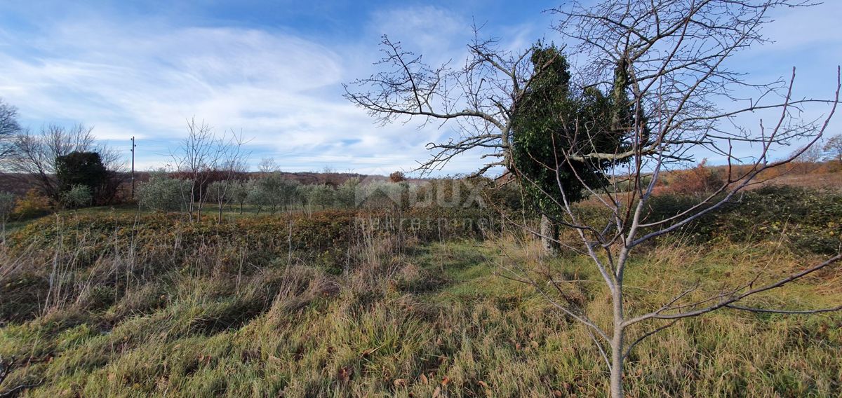 ISTRA, BARBAN - Zemljišče z pravnomočnim gradbenim dovoljenjem in plačano komunalo, lep razgled