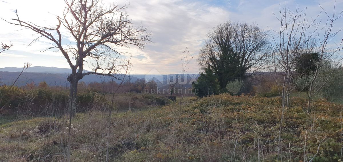 ISTRA, BARBAN - Zemljišče z pravnomočnim gradbenim dovoljenjem in plačano komunalo, lep razgled