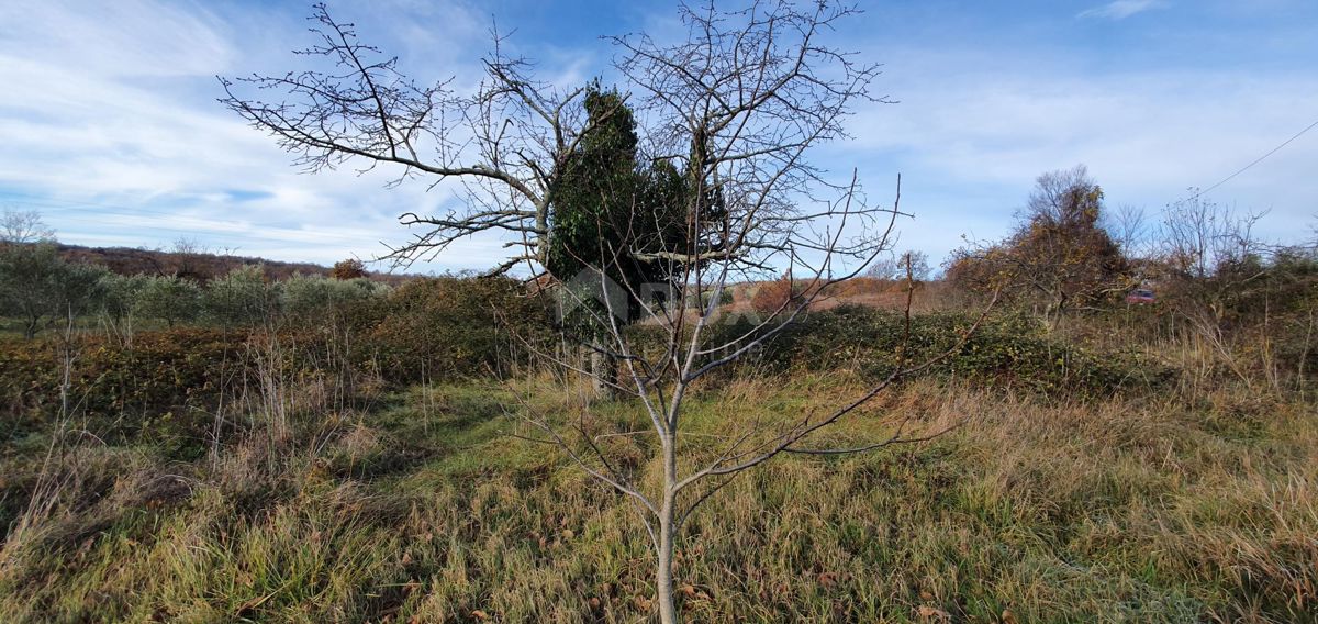 ISTRA, BARBAN - Zemljišče z pravnomočnim gradbenim dovoljenjem in plačano komunalo, lep razgled