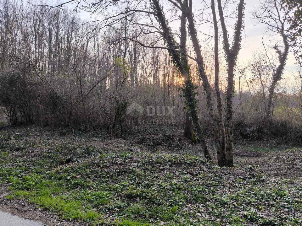 ISTRA, PAZIN - Gradbeno zemljišče v mirnem naselju