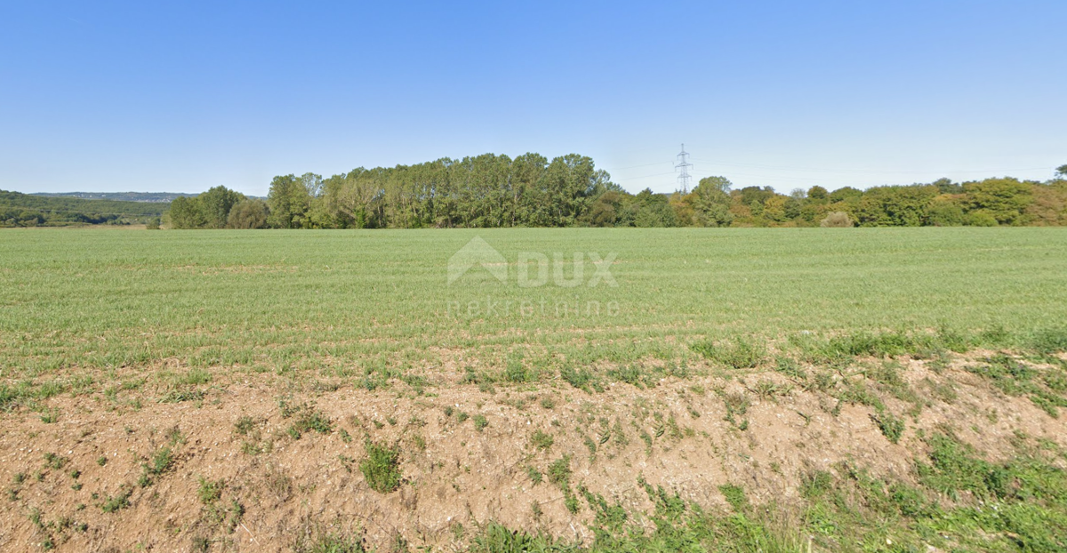 Polje Čepić, Kršan, 22.700m2
