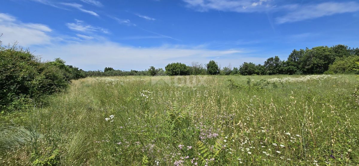 Svetvinčenat, 1.152m2