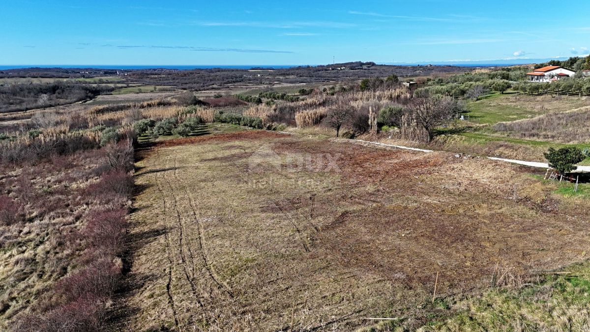 ISTRA, BUJE - Gradbeno zemljišče s panoramskim razgledom