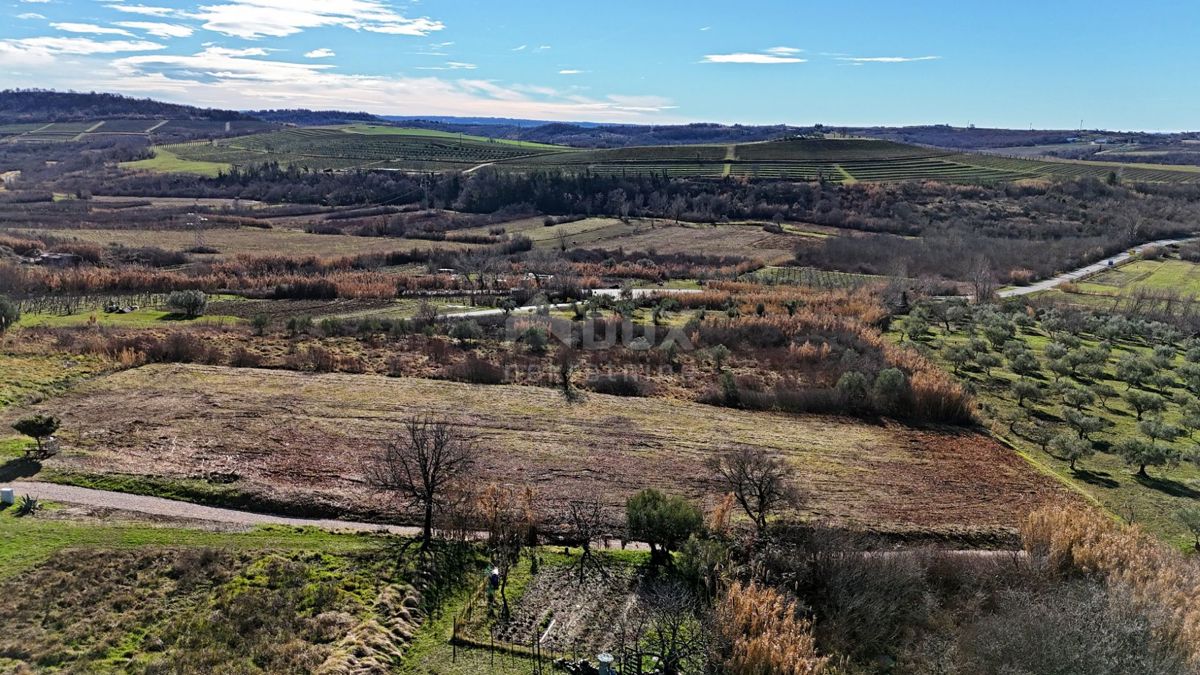 ISTRA, BUJE - Gradbeno zemljišče s panoramskim razgledom