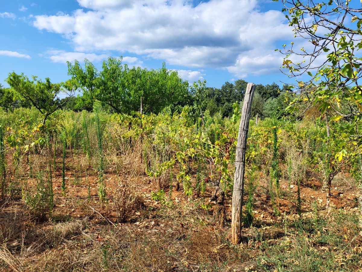 ISTRA, BARBAN - Zemljišče z zadnjim projektom v gradbeni coni