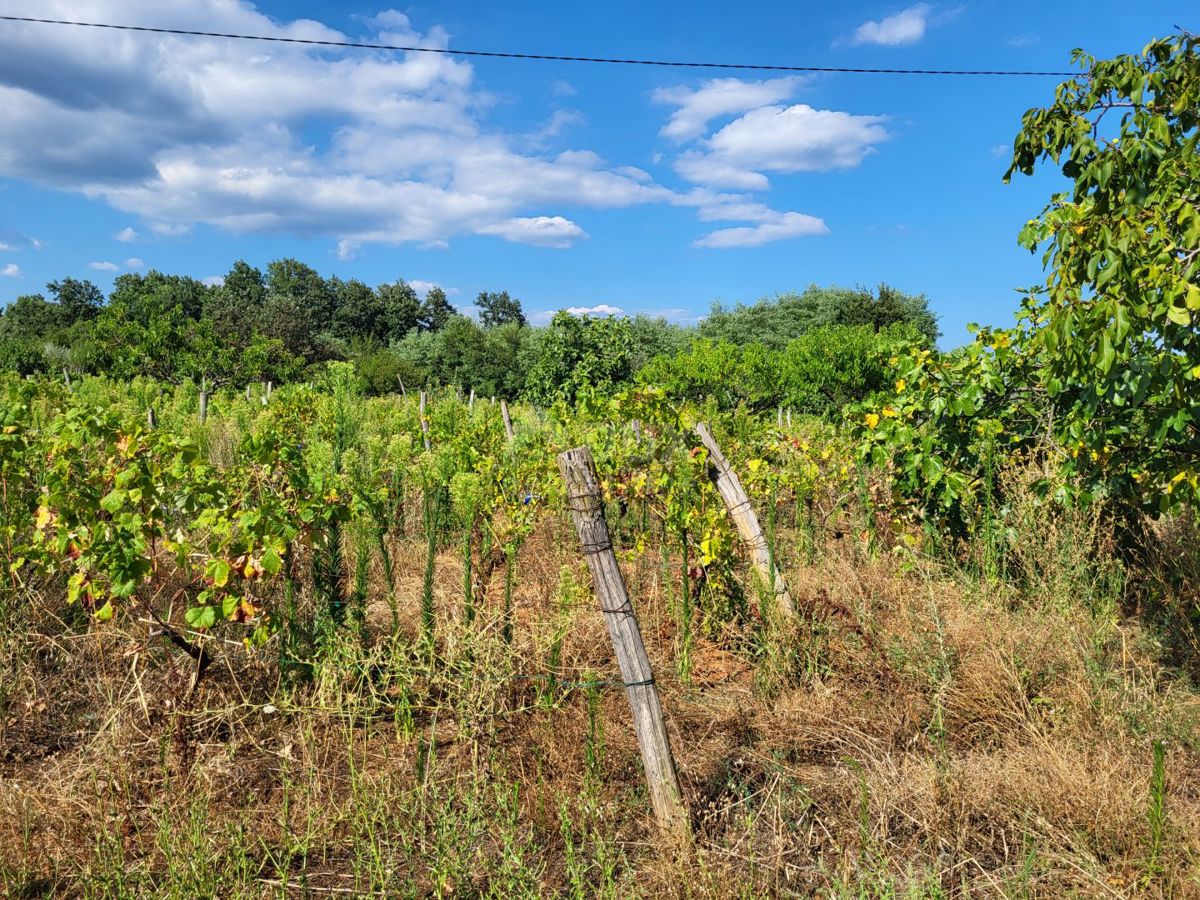 ISTRA, BARBAN - Zemljišče z zadnjim projektom v gradbeni coni