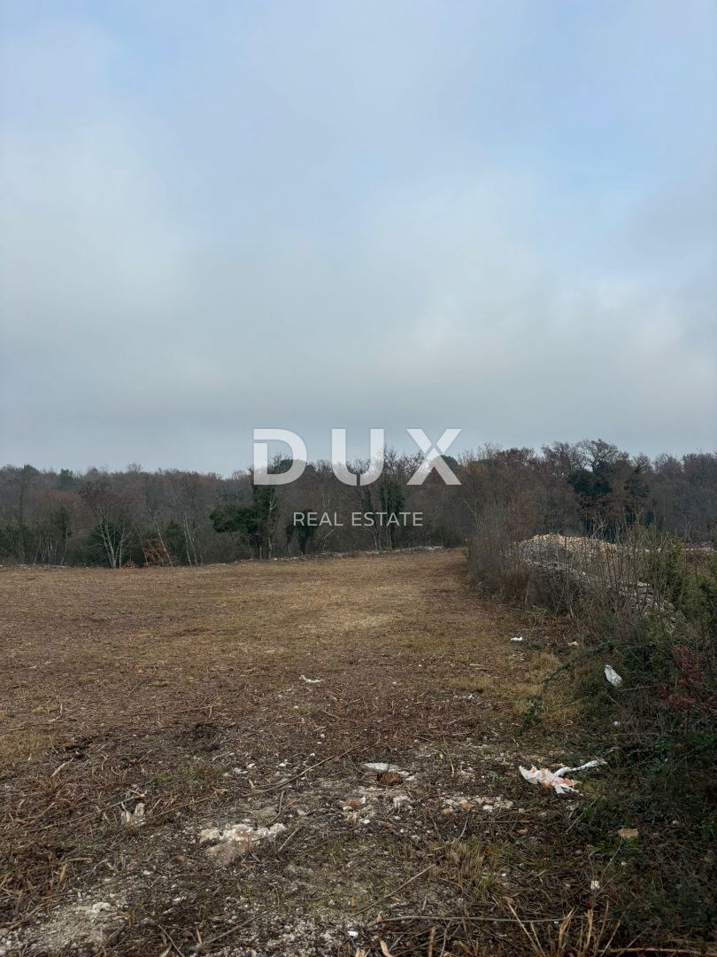 ISTRA, MARČANA - Prostorno gradbeno zemljišče! 