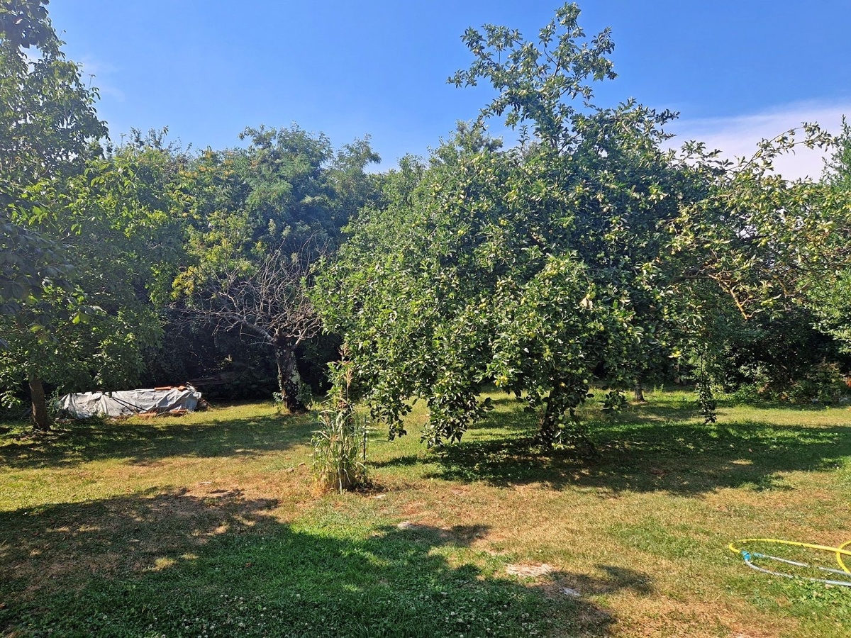 ISTRA, ŽMINJ - Prostrana oaza miru in potenciala