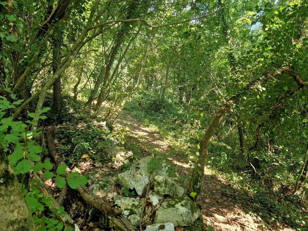 ISTRA, ŽMINJ - Prostrana oaza miru in potenciala