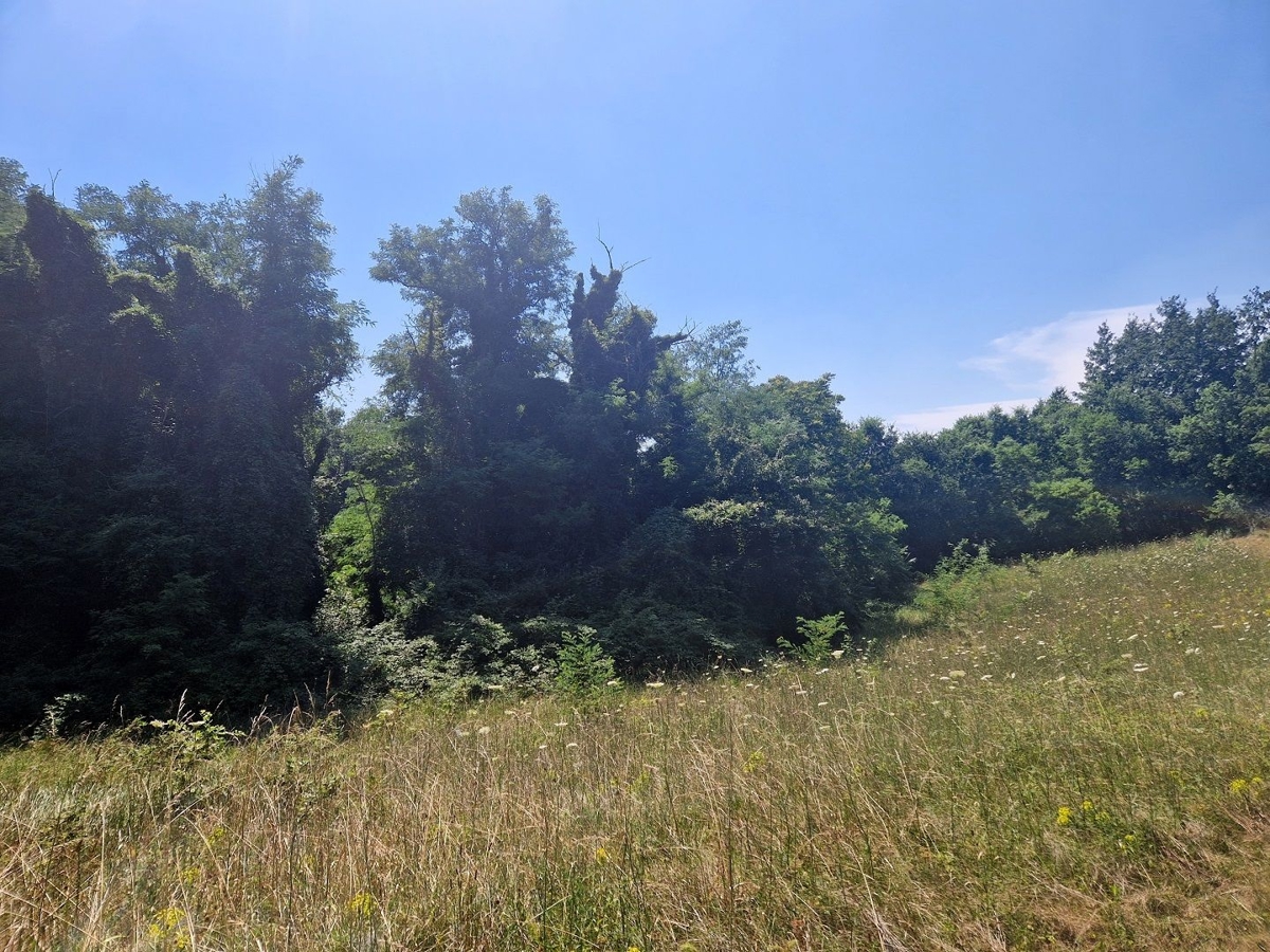 ISTRA, ŽMINJ - Prostrana oaza miru in potenciala