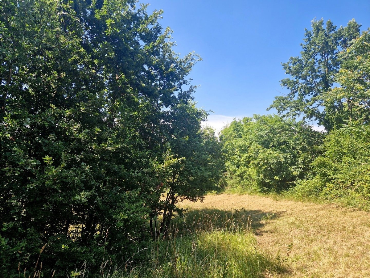 ISTRA, ŽMINJ - Prostrana oaza miru in potenciala