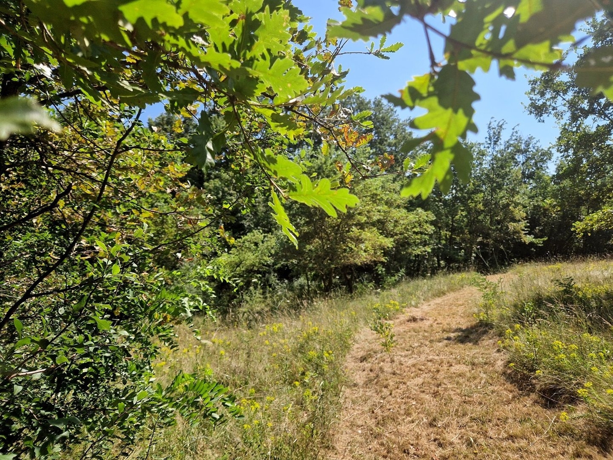 ISTRA, ŽMINJ - Prostrana oaza miru in potenciala