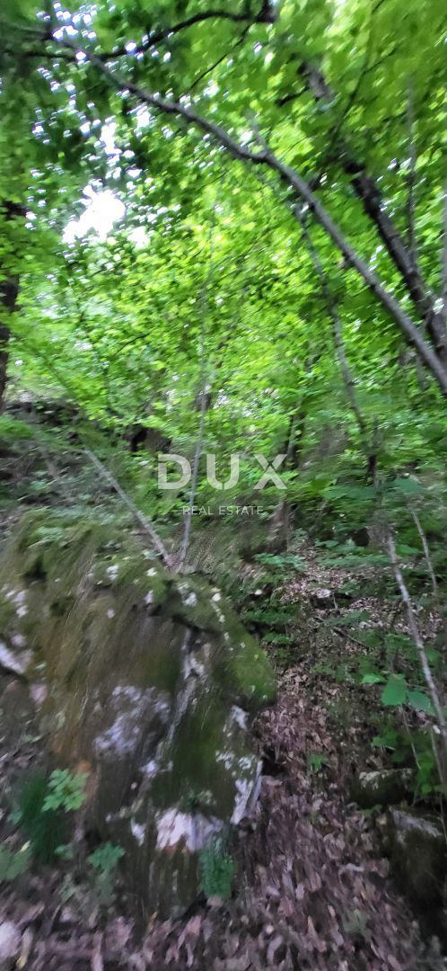 LOVRAN, DOBREĆ - zazidljivo zemljišče 5203 m2 za gradnjo vil / stanovanj / hiš za najem