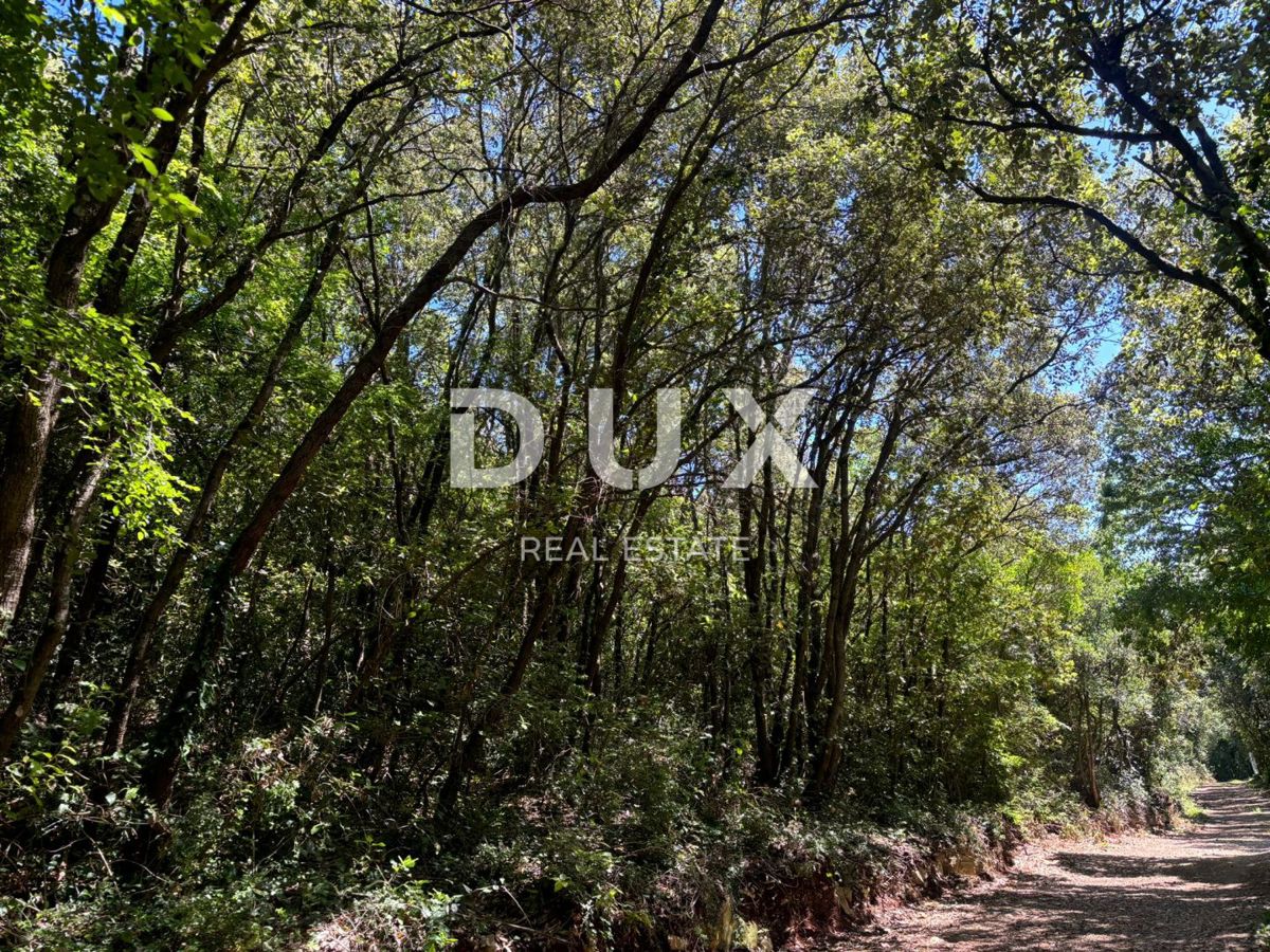 ISTRA, DUGA UVALA Kmetijsko zemljišče 300 metrov od plaže!