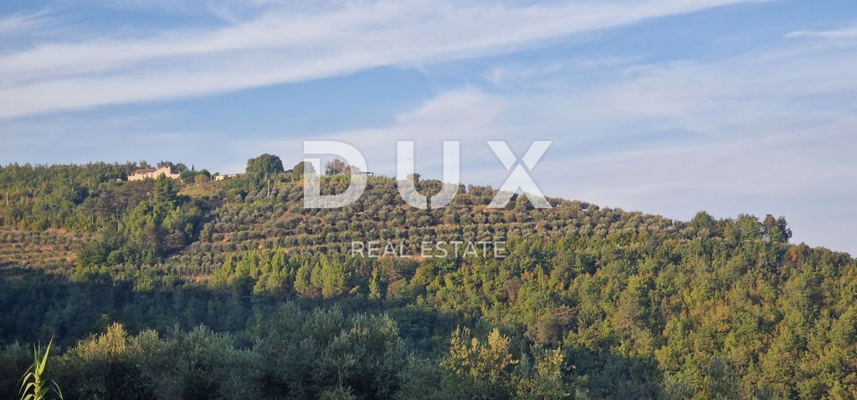 ISTRA, MOTOVUN - Veliko posestvo 170.000 m2, najlepši razgled v Istri - jezero Butoniga, Učka, Ćićarija, Motovun in Motovunski gozd tartufov!
