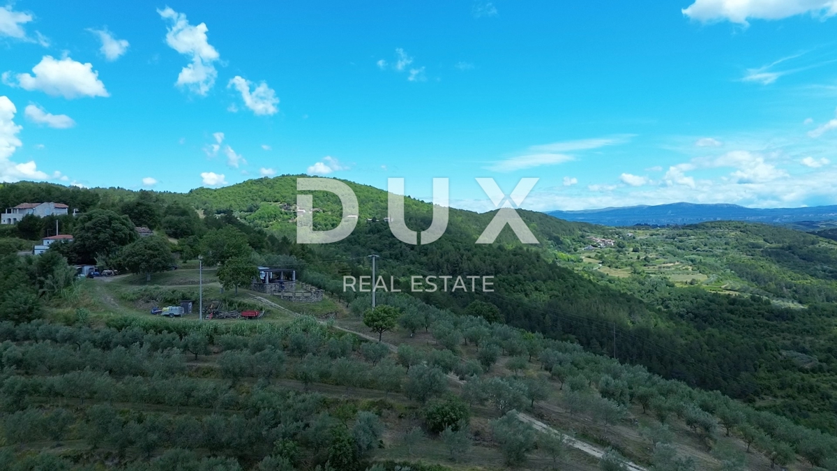 ISTRA, MOTOVUN - Veliko posestvo 170.000 m2, najlepši razgled v Istri - jezero Butoniga, Učka, Ćićarija, Motovun in Motovunski gozd tartufov!