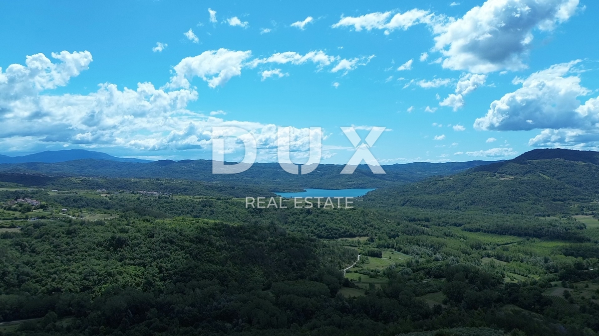 ISTRA, MOTOVUN - Veliko posestvo 170.000 m2, najlepši razgled v Istri - jezero Butoniga, Učka, Ćićarija, Motovun in Motovunski gozd tartufov!
