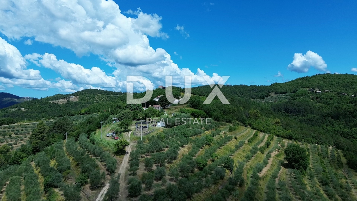 ISTRA, MOTOVUN - Veliko posestvo 170.000 m2, najlepši razgled v Istri - jezero Butoniga, Učka, Ćićarija, Motovun in Motovunski gozd tartufov!