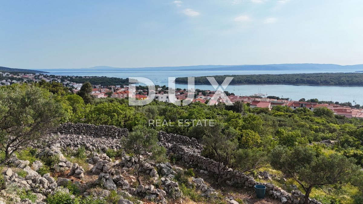 OTOK KRK, PUNAT - Mlad oljčni nasad z odprtim pogledom na morje in Košljun