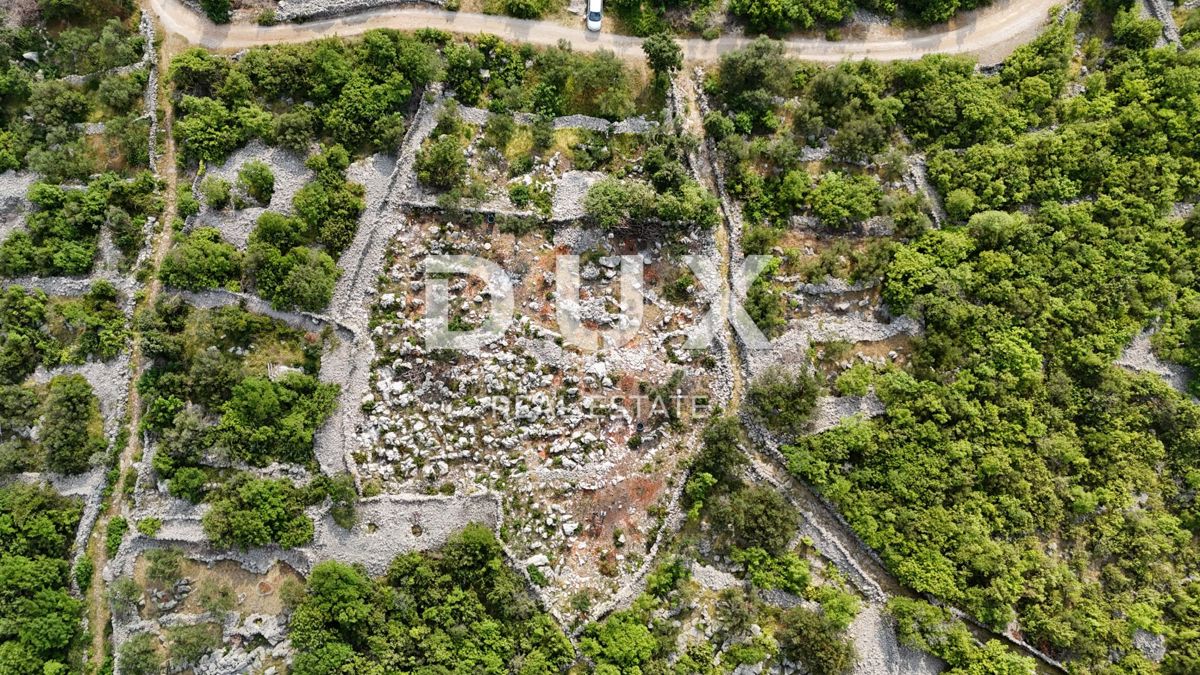 OTOK KRK, PUNAT - Mlad oljčni nasad z odprtim pogledom na morje in Košljun