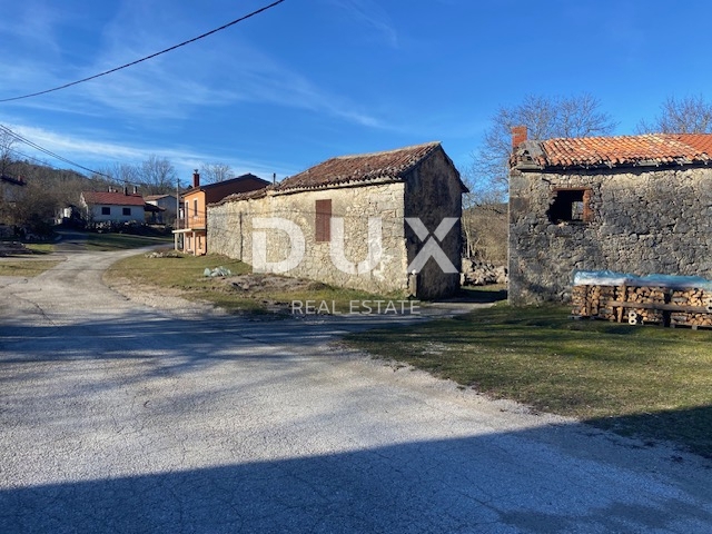 ISTRA, RAČJA VAS - kamnite starine