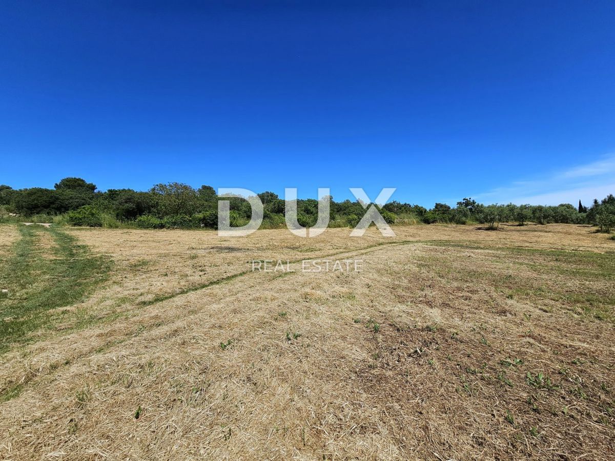 ISTRA, POMER - Urejeno gradbeno zemljišče s pogledom na morje, idealno za gradnjo vile/hiše/družinske hiše