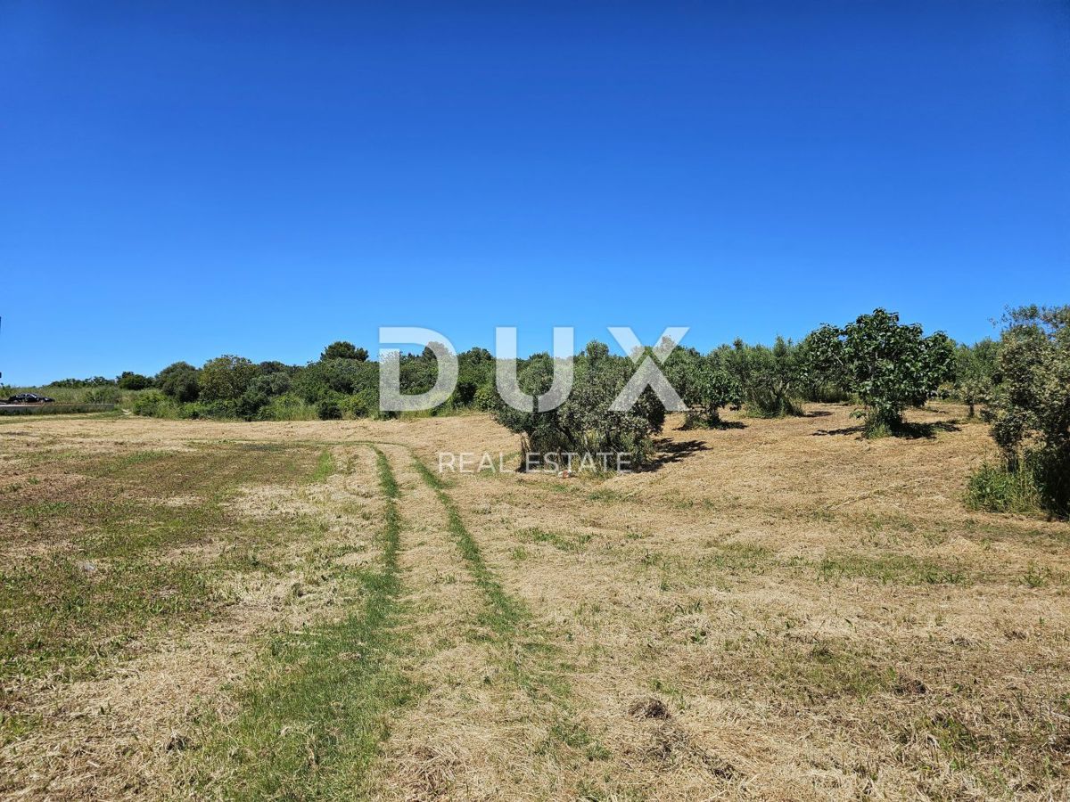 ISTRA, POMER - Urejeno gradbeno zemljišče s pogledom na morje, idealno za gradnjo vile/hiše/družinske hiše