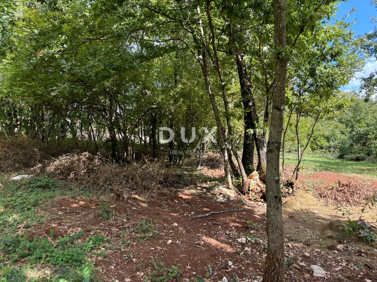 ISTRA, GRAČIŠĆE (okolica) - Čudovita enonadstropna hiša v zelenju!