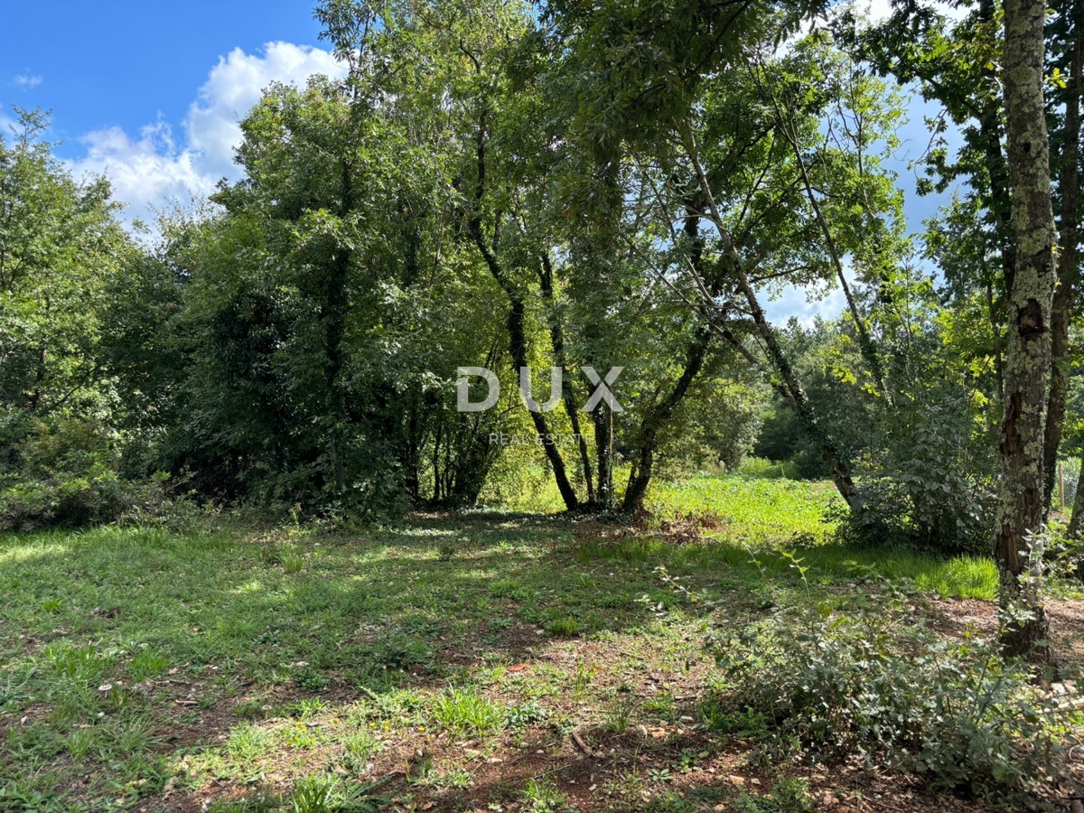 ISTRA, GRAČIŠĆE (okolica) - Čudovita enonadstropna hiša v zelenju!