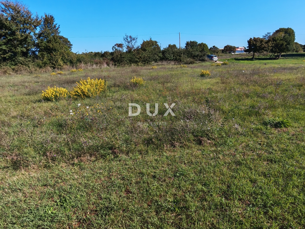 ISTRA, LOBORIKA - Gradbeno zemljišče na mirni lokaciji!