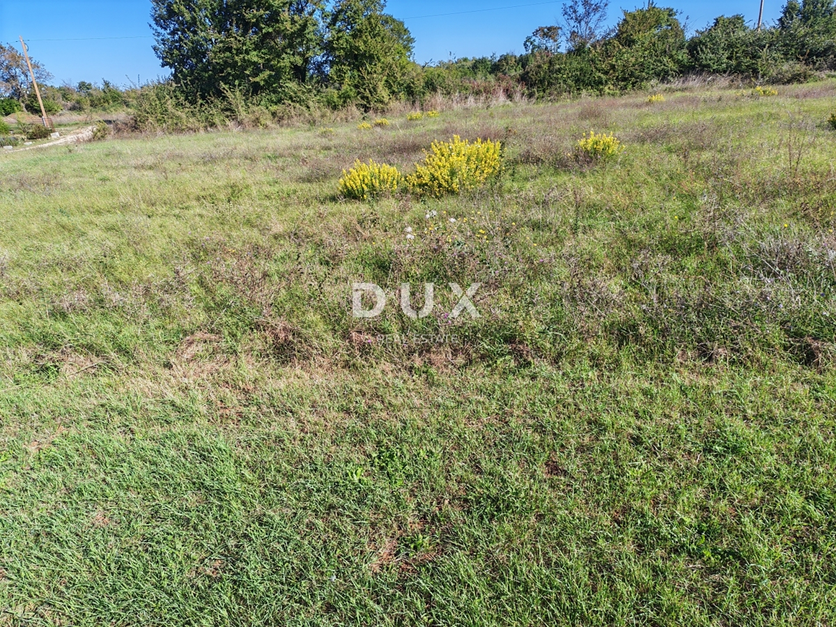 ISTRA, LOBORIKA - Gradbeno zemljišče na mirni lokaciji!