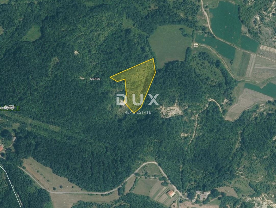 ISTRA, GRAČIŠĆE - Kmetijsko zemljišče, 9.810 m2