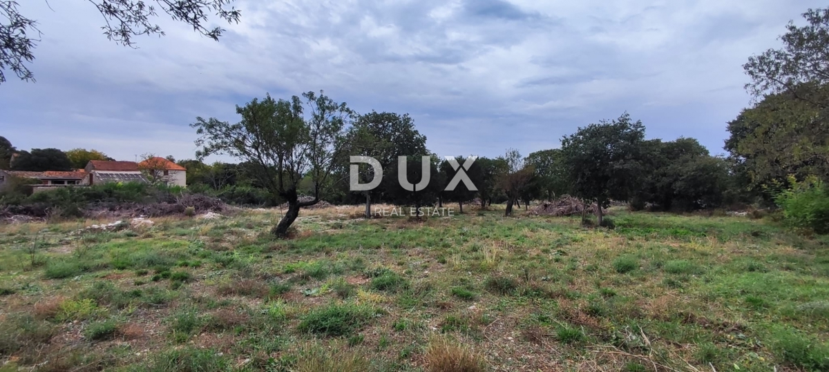 BIOGRAD NA MORU, TINJ - zazidljivo zemljišče