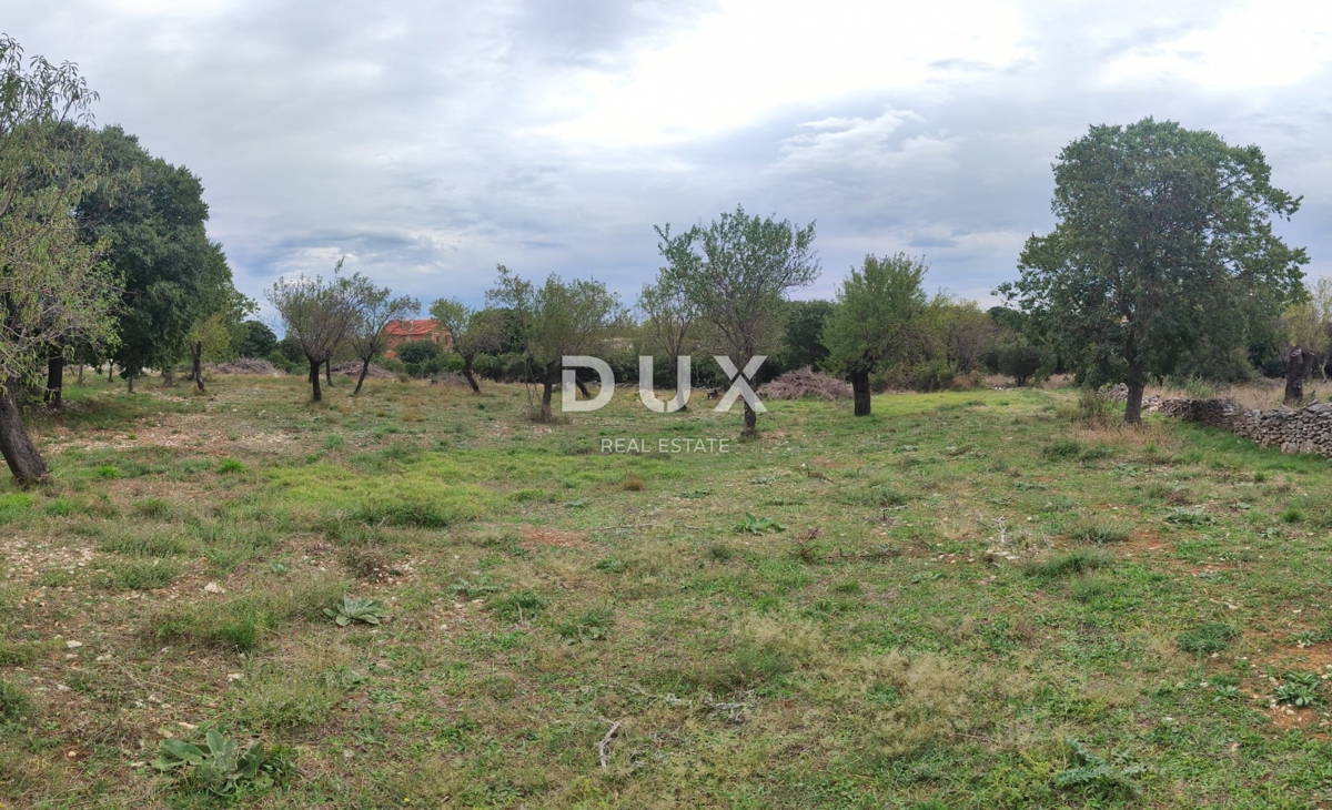 BIOGRAD NA MORU, TINJ - zazidljivo zemljišče