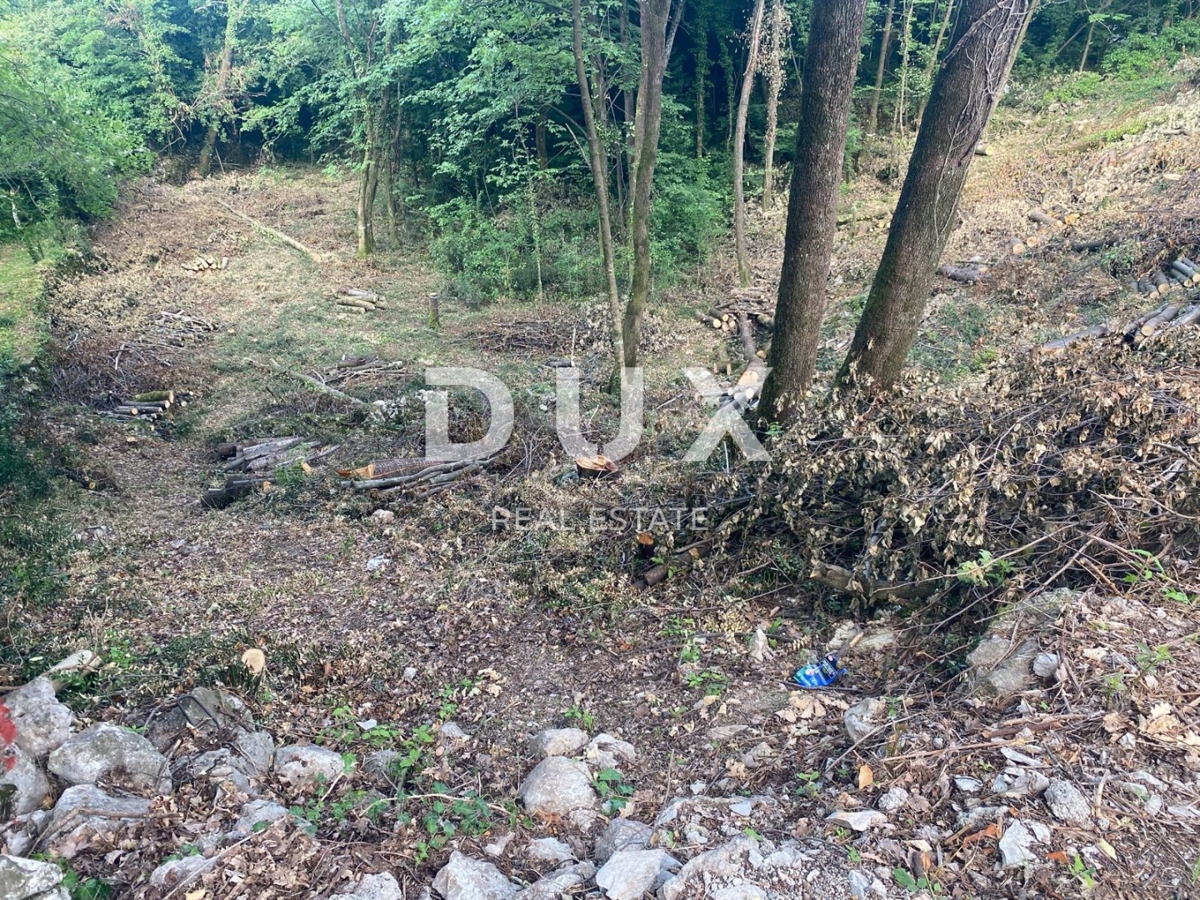 RIJEKA, KASTAV - zazidljivo zemljišče 1.370 m2 za stanovanjsko stavbo / stanovanja / stanovanja / družinsko hišo / vilo! PRILOŽNOST!