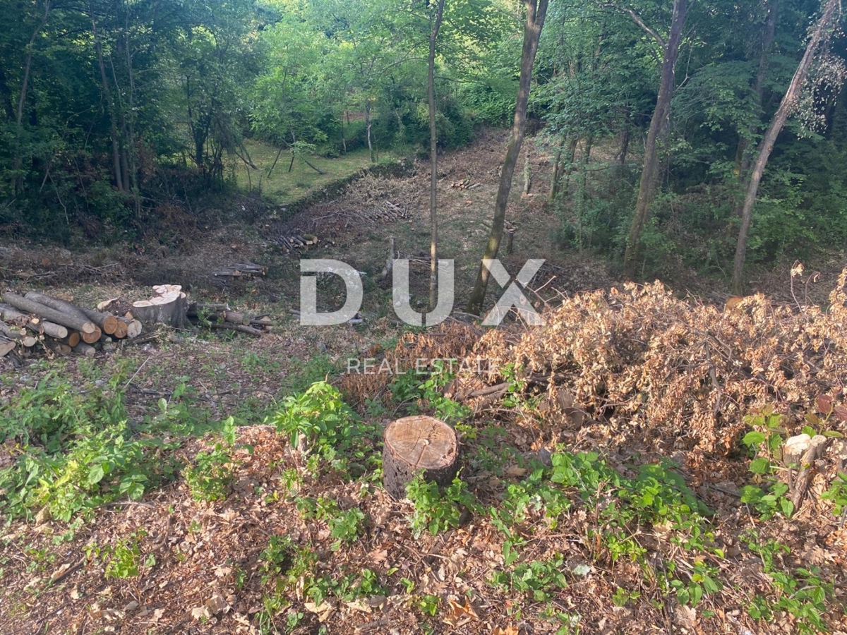 RIJEKA, KASTAV - zazidljivo zemljišče 1.370 m2 za stanovanjsko stavbo / stanovanja / stanovanja / družinsko hišo / vilo! PRILOŽNOST!