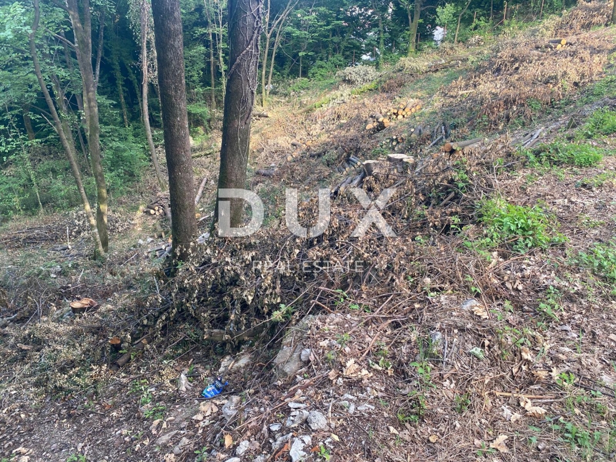 RIJEKA, KASTAV - zazidljivo zemljišče 1.370 m2 za stanovanjsko stavbo / stanovanja / stanovanja / družinsko hišo / vilo! PRILOŽNOST!