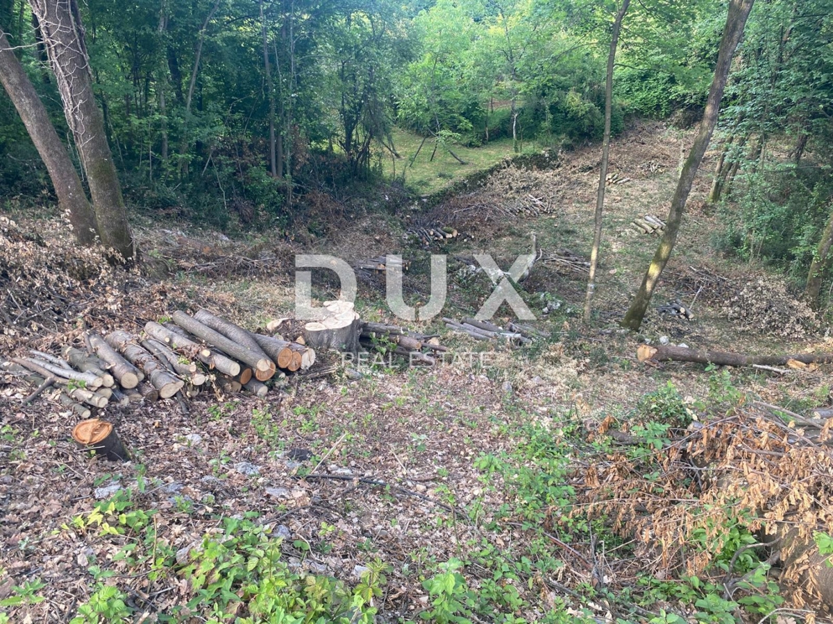 RIJEKA, KASTAV - zazidljivo zemljišče 1.370 m2 za stanovanjsko stavbo / stanovanja / stanovanja / družinsko hišo / vilo! PRILOŽNOST!