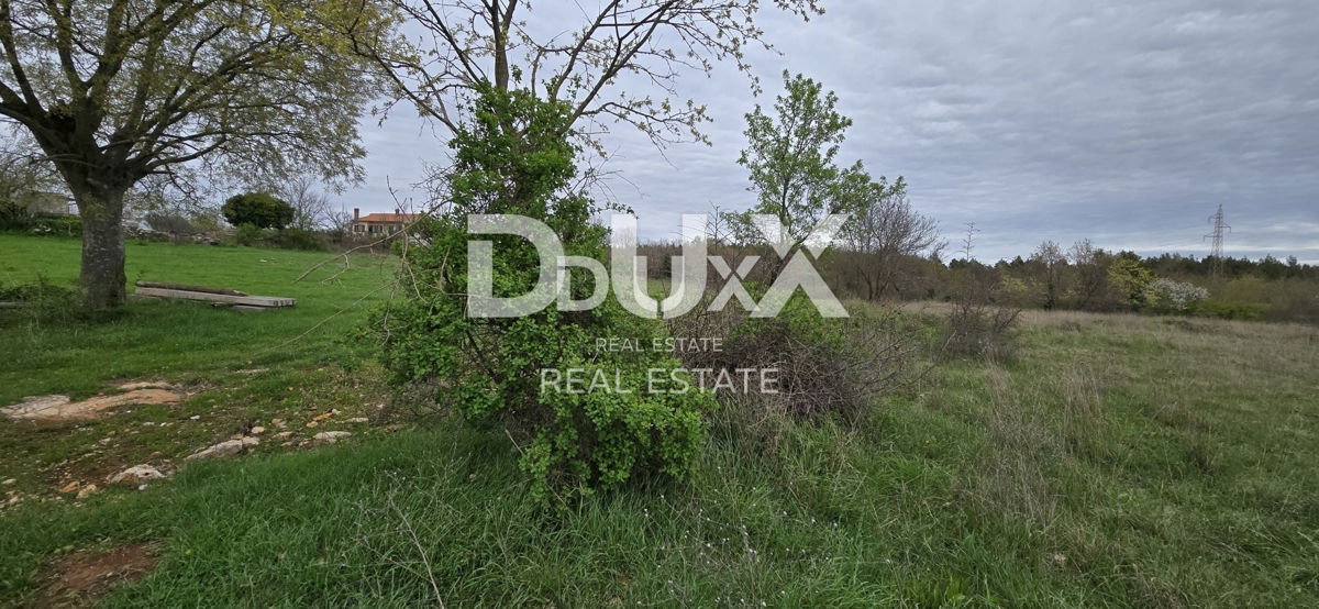 ISTRA, SVETVINČENAT – Zemljišče s pravnomočnim dovoljenjem in projektom hiše z bazenom