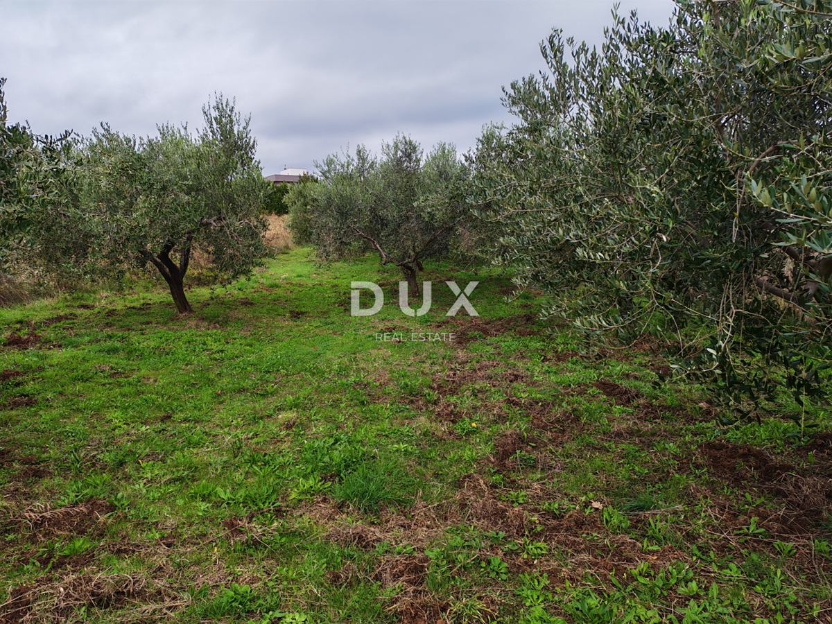 ISTRA, PREMANTURA - Gradbeno zemljišče 1615m2