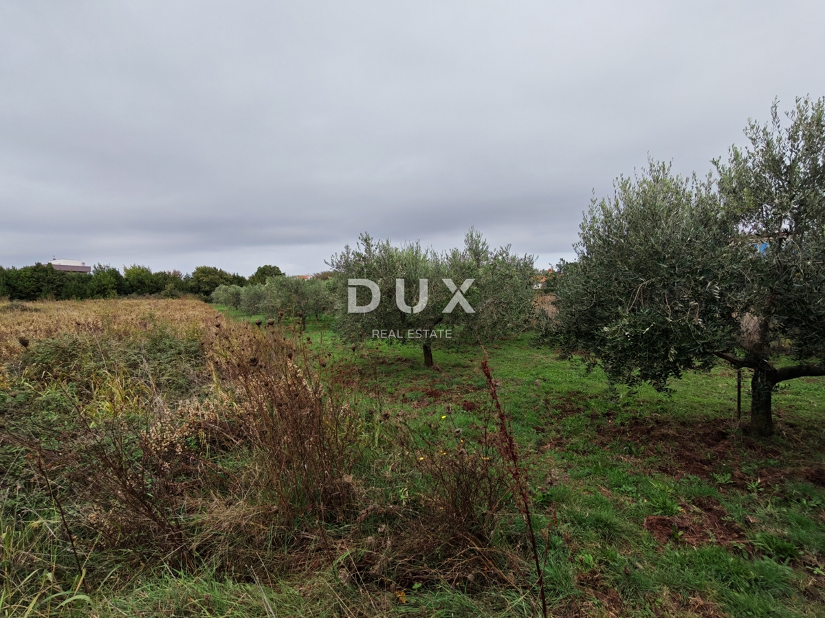 ISTRA, PREMANTURA - Gradbeno zemljišče 1615m2