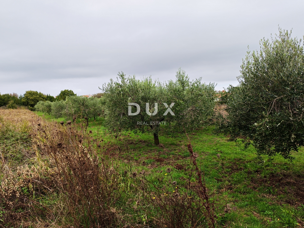 ISTRA, PREMANTURA - Gradbeno zemljišče 1615m2