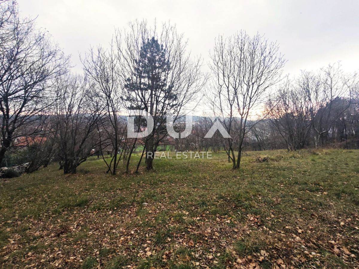 ČAVLE (okolica) - Samostojna hiša s 3250 m2 zazidljivega zemljišča!