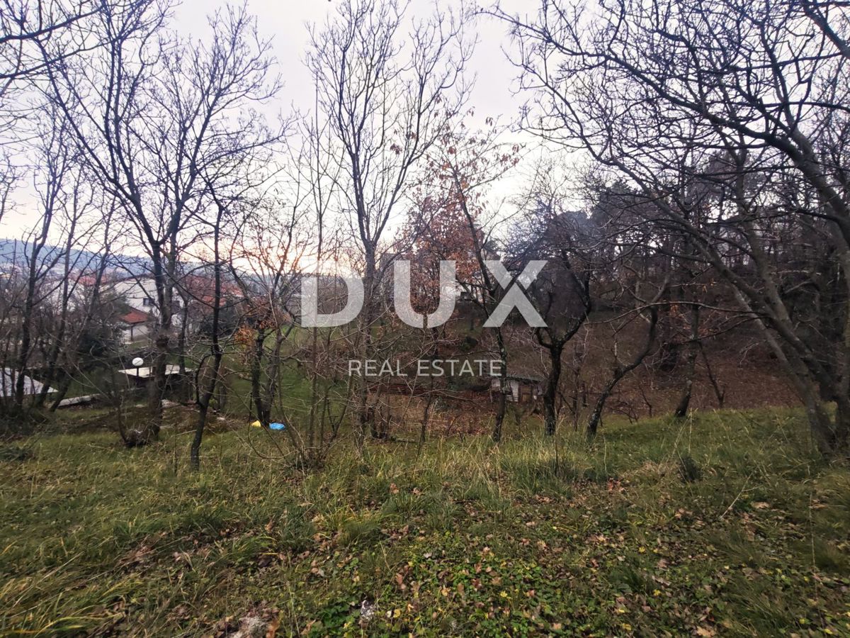 ČAVLE (okolica) - Samostojna hiša s 3250 m2 zazidljivega zemljišča!