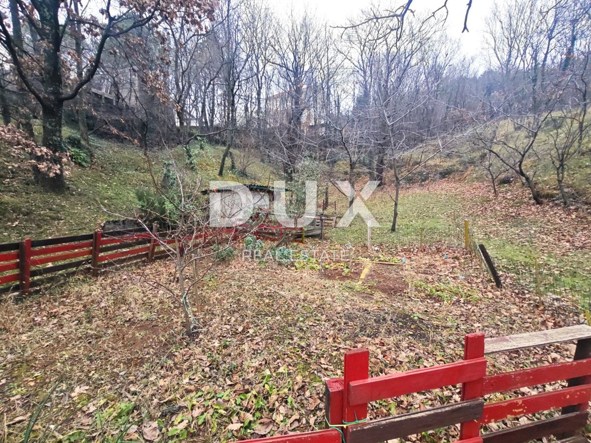 ČAVLE (okolica) - Samostojna hiša s 3250 m2 zazidljivega zemljišča!