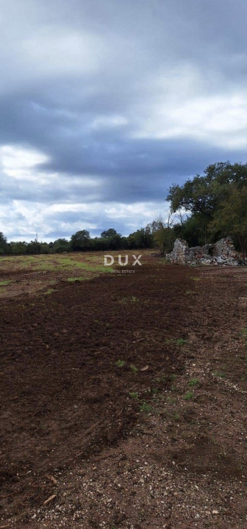 ISTRA, ROVINJ - Hiša na prostornem kmetijskem zemljišču