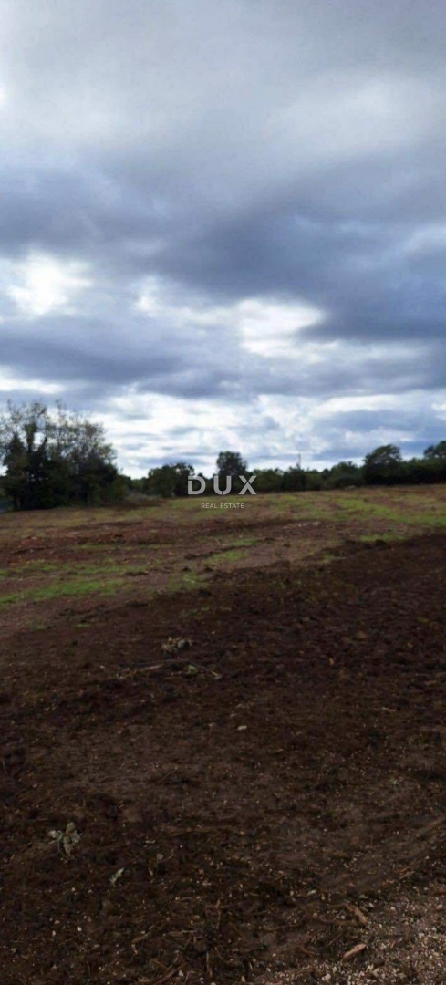 ISTRA, ROVINJ - Hiša na prostornem kmetijskem zemljišču