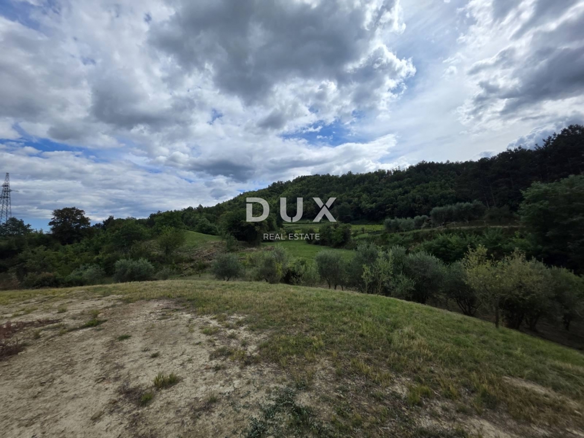 ISTRA, HUM – Privlačna 8,4 ha velika posest z dvema legaliziranima hišama in gradbenim zemljiščem!